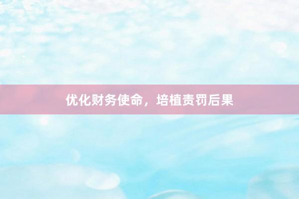 优化财务使命，培植责罚后果